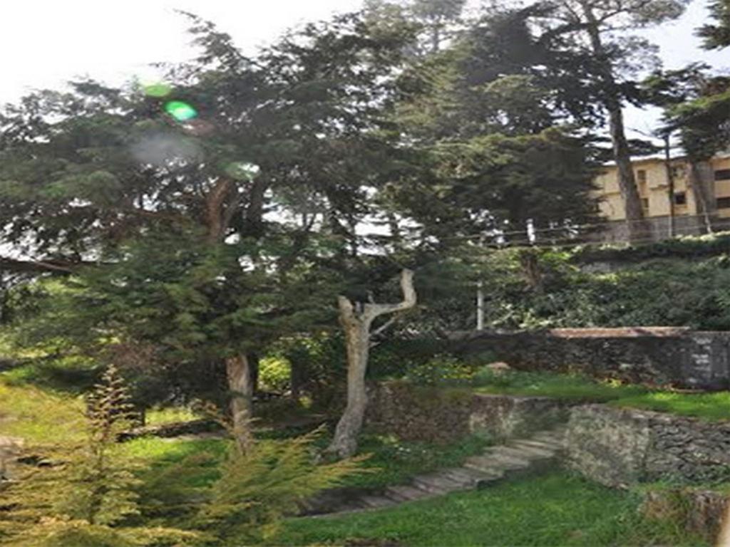 Hill Heaven Home Stay Kodaikanal Exterior foto